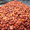 Agathi Seeds 1