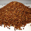 Velimal Seed 1